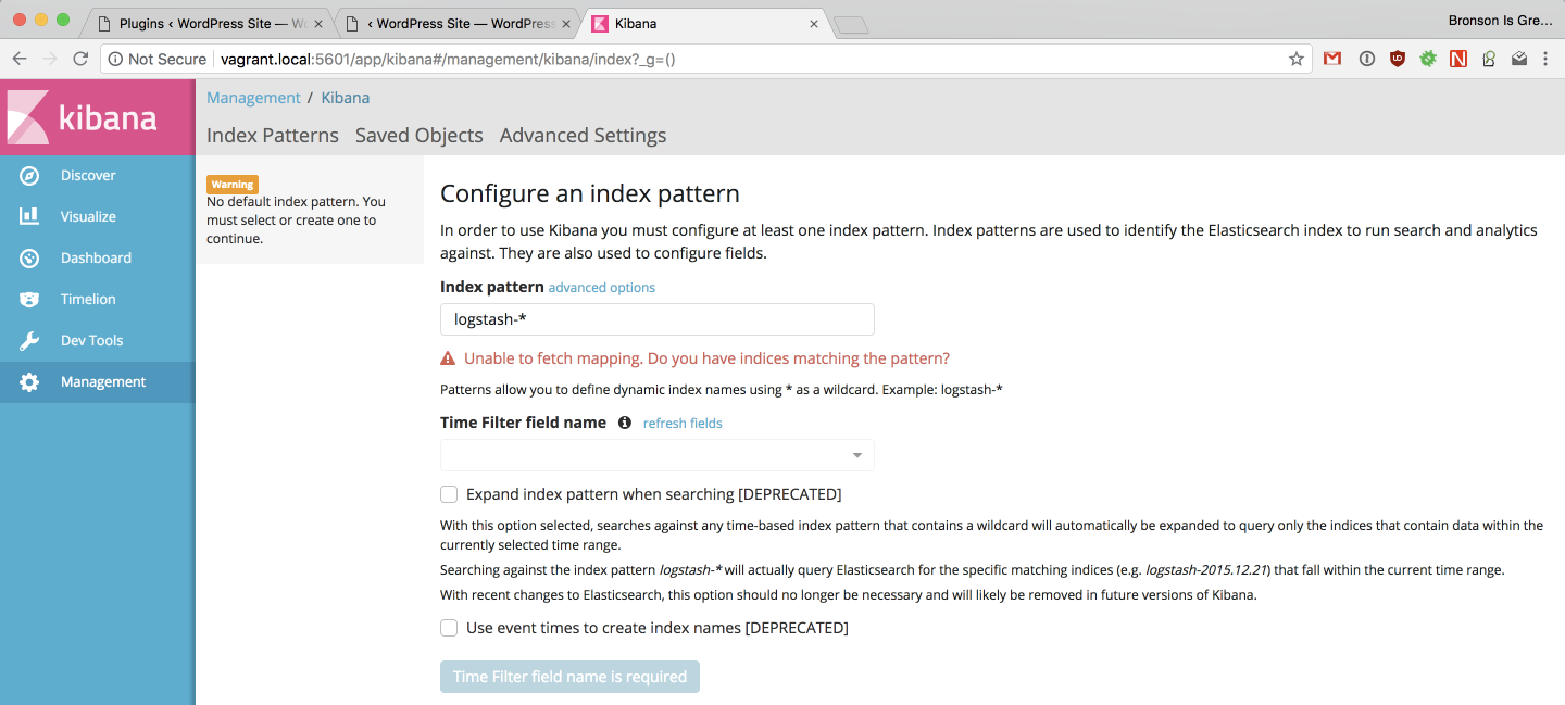 index pattern